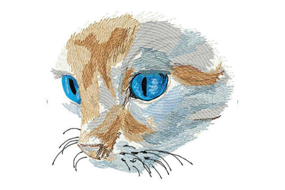 Cat with Deep Blue Eyes: A Seller's Review