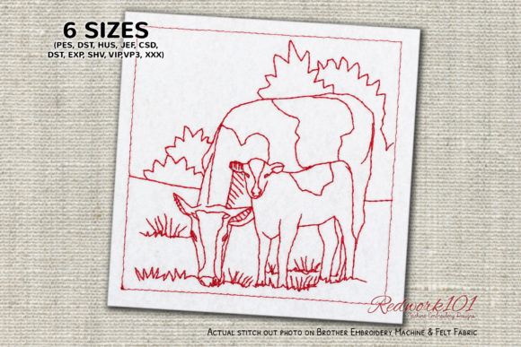 Cow with Calf in the Field Review