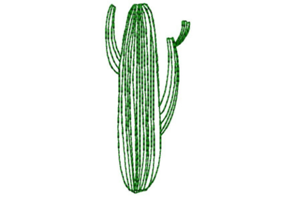 Lined Cactus Outline Review for Boutique Apparel